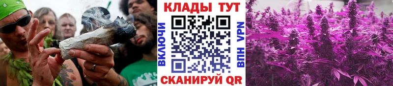 Купить наркотики сайты Тамбов АМФЕТАМИН  Мефедрон  Alpha-PVP  МДМА  Кетамин  Кокаин  Бошки Шишки  ГАШИШ 