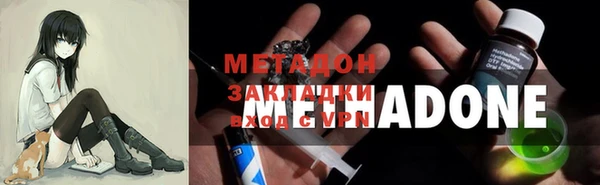 PSILOCYBIN Ельня