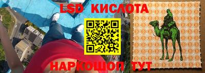 крисы Славгород