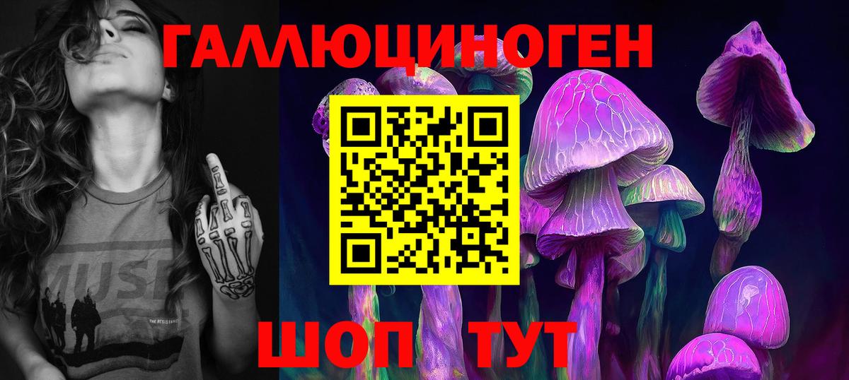 Псилоцибиновые грибы GOLDEN TEACHER Тамбов