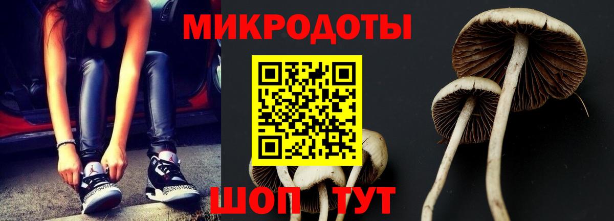 Псилоцибиновые грибы GOLDEN TEACHER  купить наркоту  Тамбов  Вход с VPN 